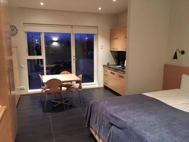 Saeluhus Apartments & Houses