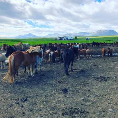 Syðra-Skörðugil Guesthouse