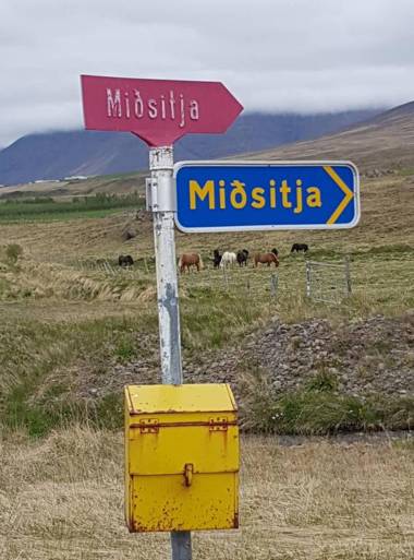 Midsitja