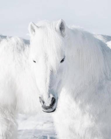 Keflavik Luxury apartment - KLA