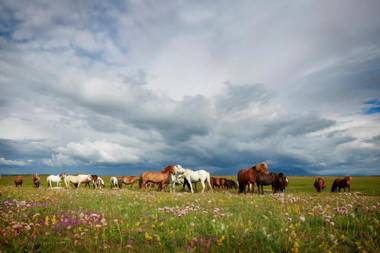 Hestaland Guesthouse