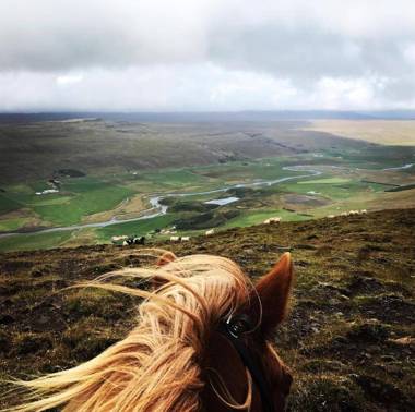 Guesthouse Hof in Vatnsdalur