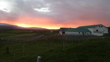 Stóra-Ásgeirsá Horse Farm Stay
