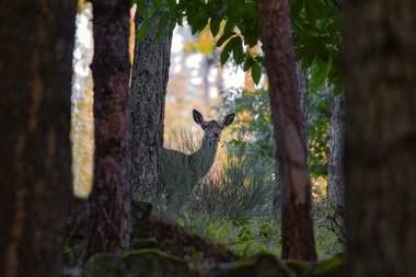 La Casa di Gloria - Residence affitta camere