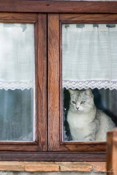 Agriturismo Selvella