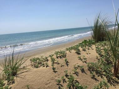 Alloggi e Trattoria Agli Alberoni