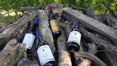 Marcarini Agriturismo