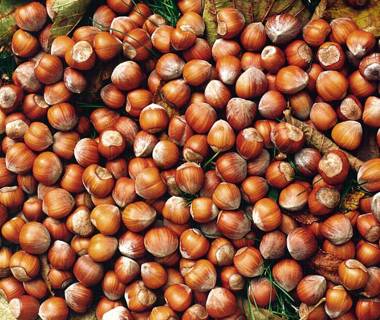 Marcarini Agriturismo