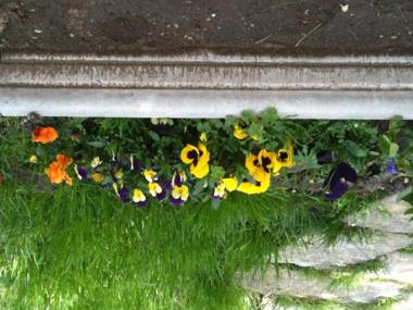 B&B IL CASTELLO Lago Maggiore