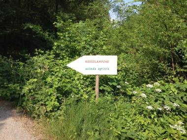 Agriturismo Rossolampone