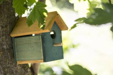 Agriturismo Rossolampone