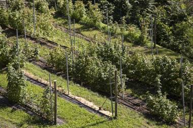 Agriturismo Rossolampone