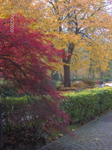 Albergo Ristorante Cima I Pra'