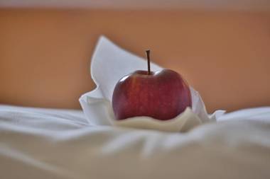 Berghütte Sommerstall