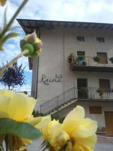 B&B RAINA