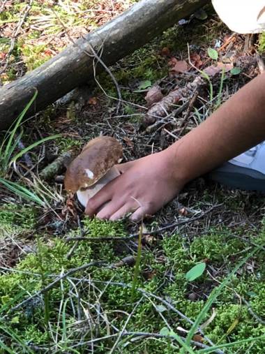 Eco Chalet Nonno Silvano