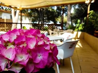 Camping Village S'Ena Arrubia