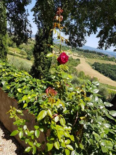 Il Leccio - Casa Toscana San Gimignano
