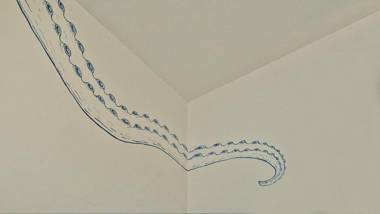 Il Polpo e la Sirena