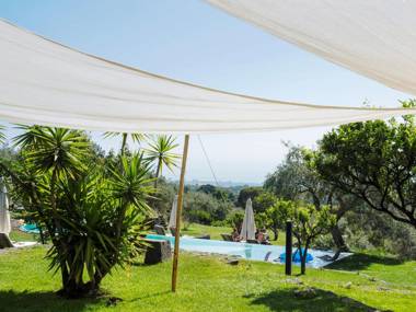 Monaci delle Terre Nere