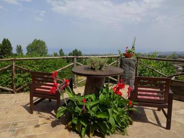 Alberto's Mt.Etna B&B