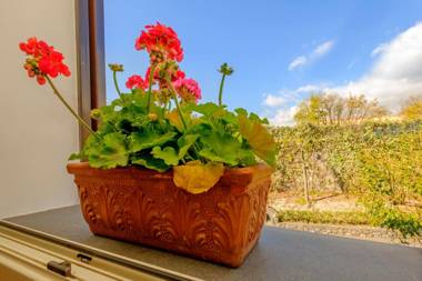 B&B BOUTIQUE DI CHARME "ETNA-RELAX-NATURA"