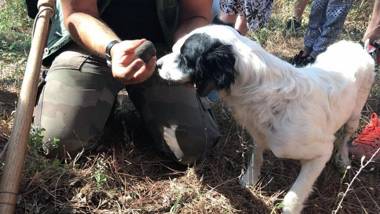 Agriturismo Panieracci