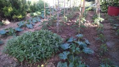 La Residence da Caterina