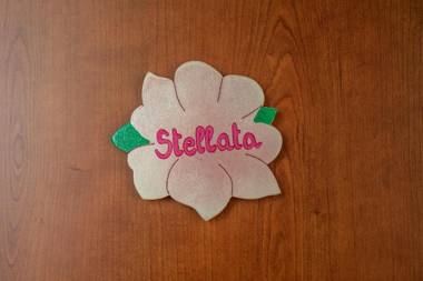 Casa Vacanze La Magnolia