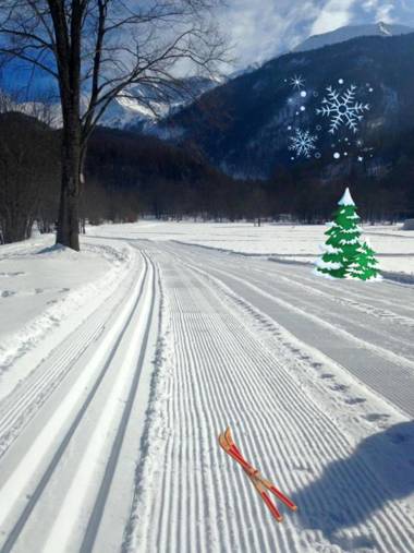 Hotel Ristorante Ligure