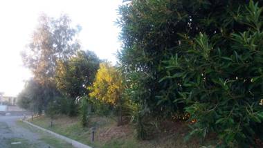 B & B Residence L'Ancora