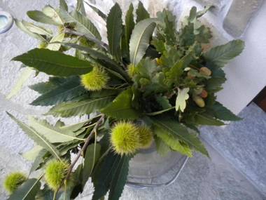 Agriturismo La Dimora Del Contadino