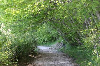 Parco del Lago Resort & SPA