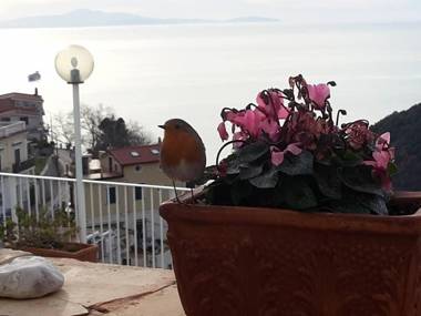 Le Terrazze di Cristina