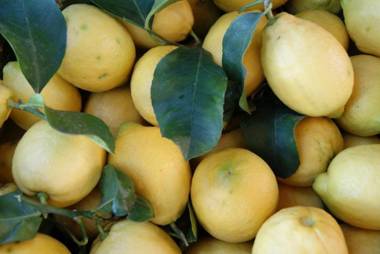 Agriturismo Nonno Luigino