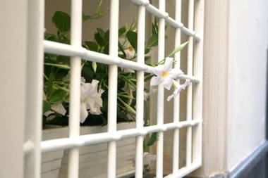 White Stylish Apartments