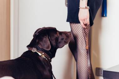 Best Western Aries Hotel