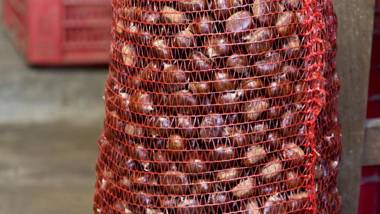 la Casetta Nel Bosco Feel the nature