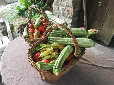 la Casetta Nel Bosco Feel the nature