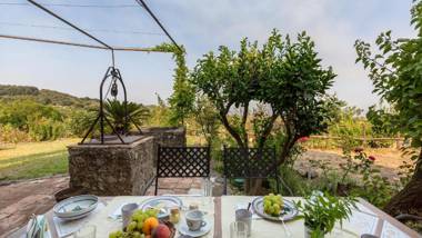 Il palmento dell'Etna