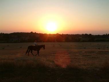 Agriturismo il Poggio