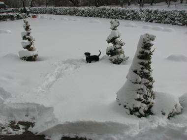 Agriturismo Villa Ione