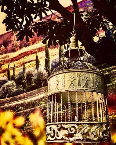 Boutique Hotel Scalzi - Adults Only