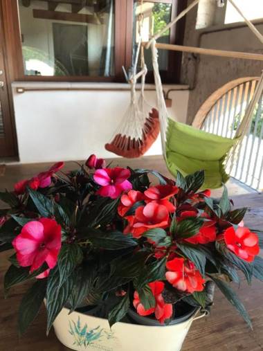 Il Nido della Buonanotte 1