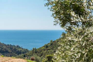 Vernazza Guest House Terre Marine