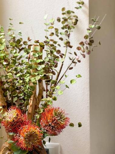 La Ripa Camere Vernazza