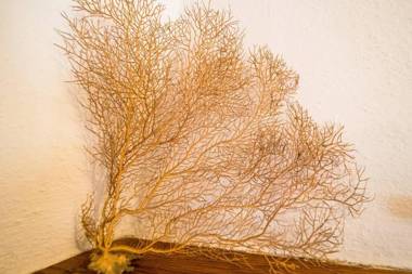 Thalassa Apartment with AC Terrace and Views