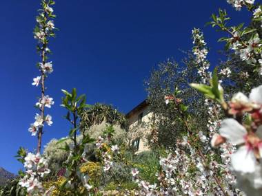 Stylish Holiday Home in Ventimiglia with Barbecue