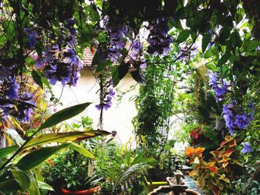 Romantic Casa Lorenzina Affittacamere