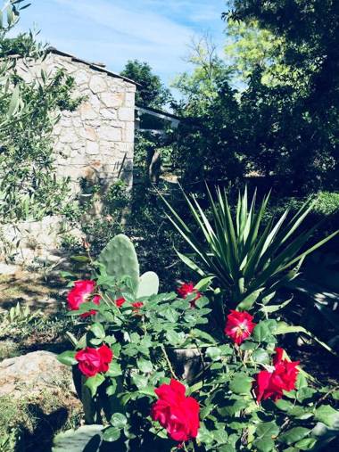 Casa Vacanze Fattoria Pozzitello